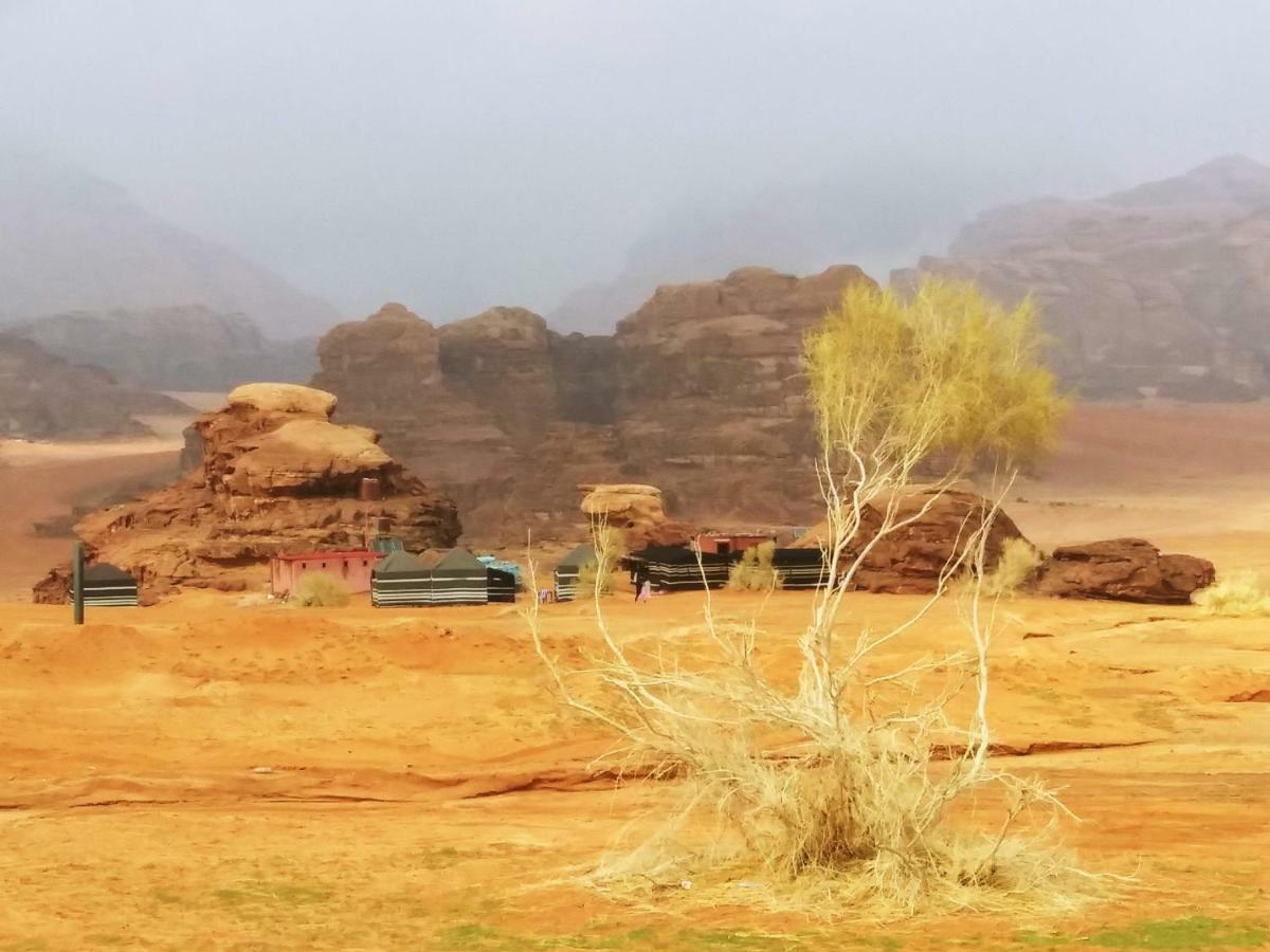 Bedouin Culture Camp Wadi Rum Exteriér fotografie